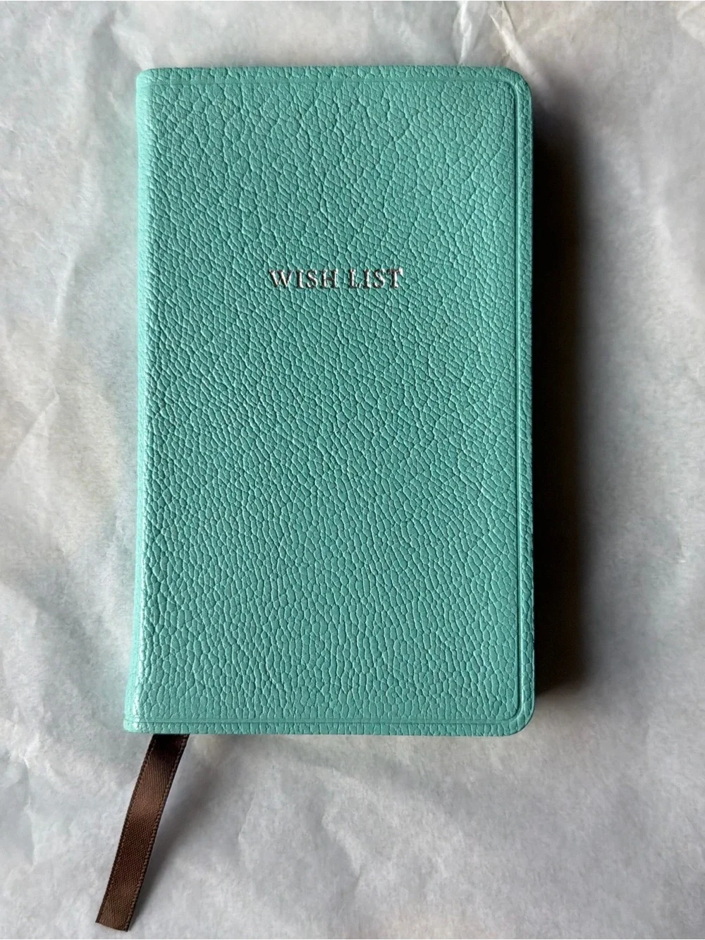 🩵📒🩵 TIFFANY & CO. POCKET JOURNAL 🩵📒🩵 NWOT 🩵📒🩵